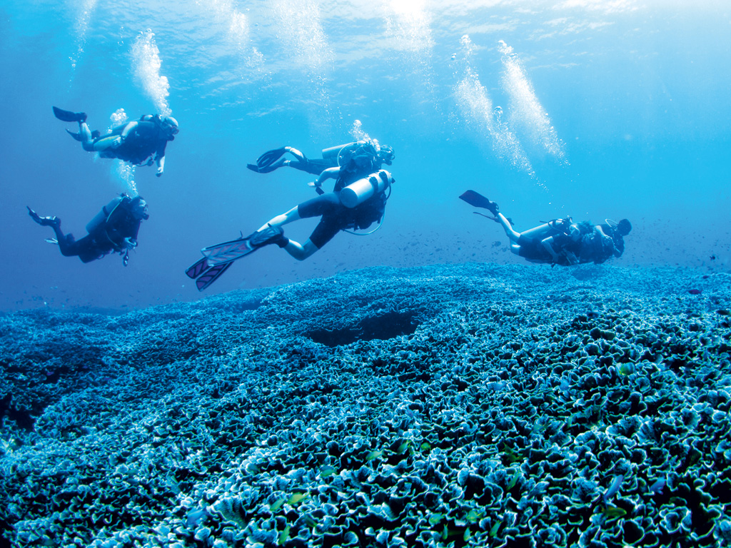 Open Water Diving course in Cuba