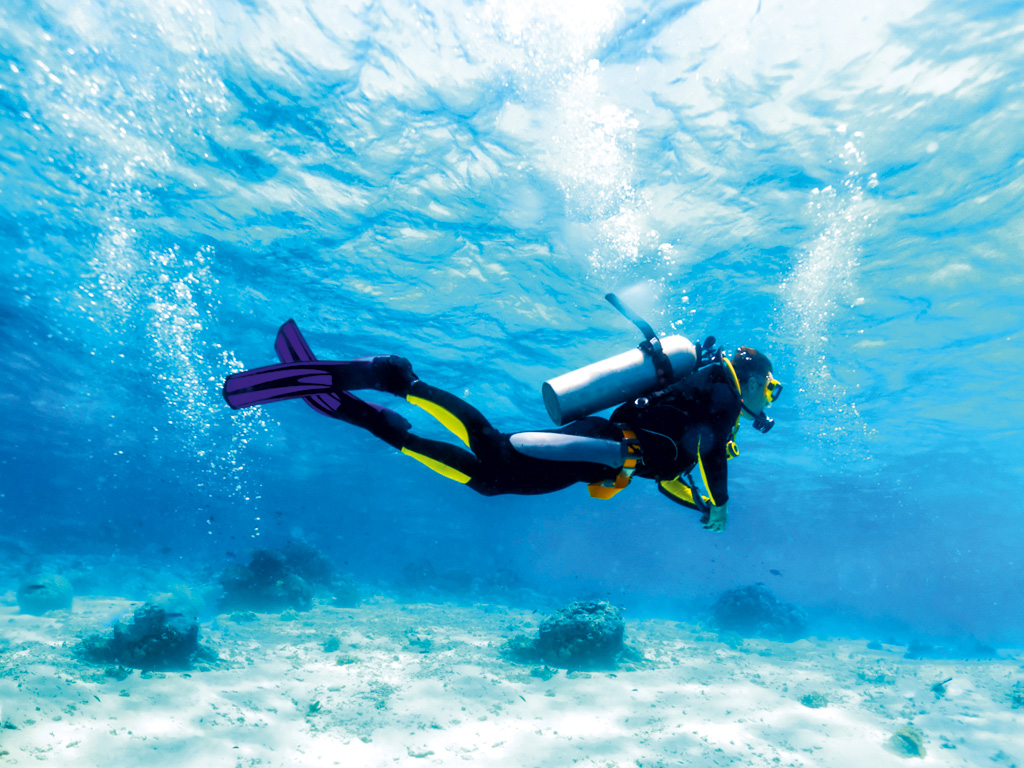 Cuba Diving Courses - Scuba Diver Course