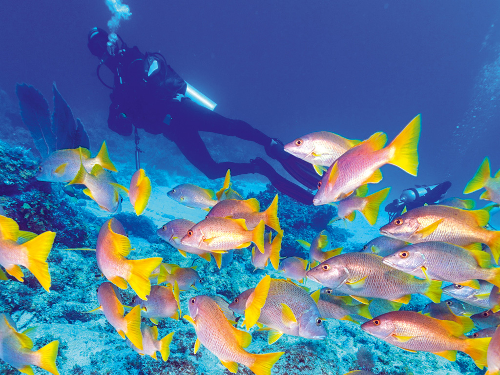 Advanced Open Water Diver Course