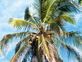 萨马拉海滩