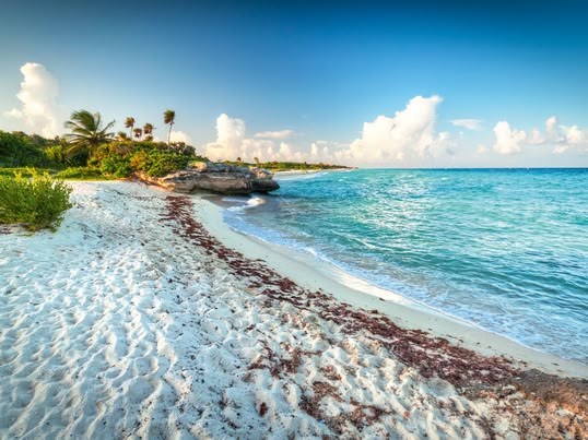 Mexico's beaches