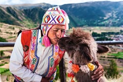 Peru Animals Culture