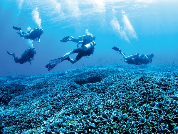Open Water Diving course in Cuba