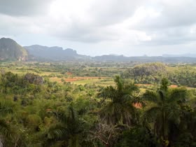 Valle de Viñales