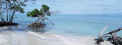 Beaches of the Caribbean