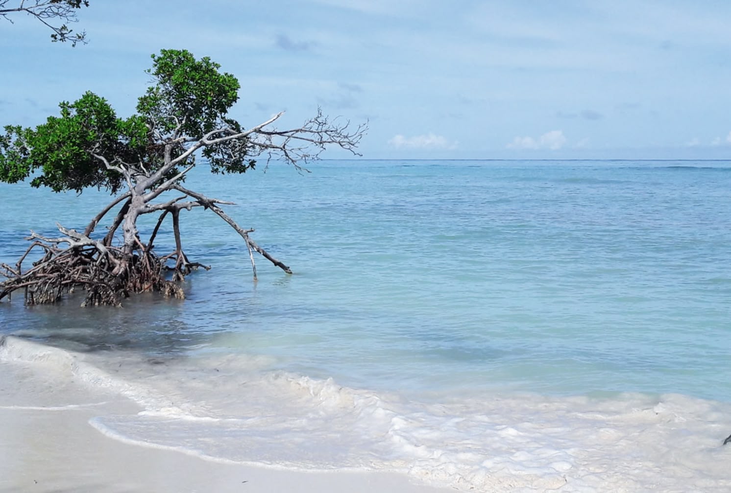 Beaches of the Caribbean