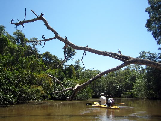 Kayaking in Punta Izopo, Honduras