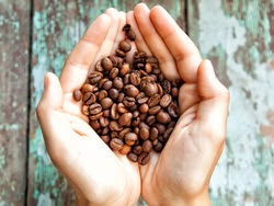 Koffie uit Costa Rica